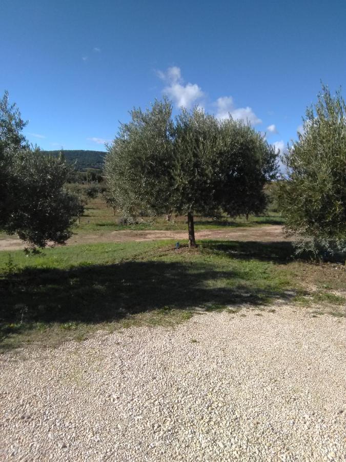Vacances Vaison La Romaine Vaison-la-Romaine Exterior foto
